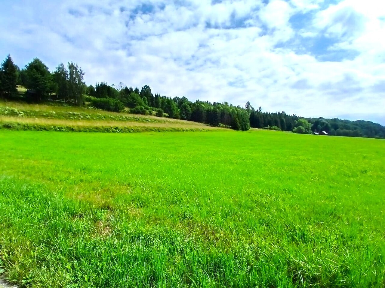 Działka rekreacyjna na sprzedaż w Wieprzu – 4200 m2 w sercu Beskidu Żywieckiego